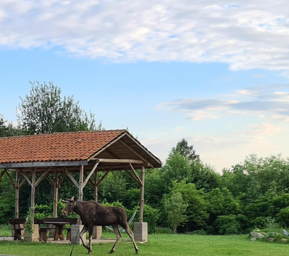 Swojski Gosciniec Prażmowo Exteriér fotografie